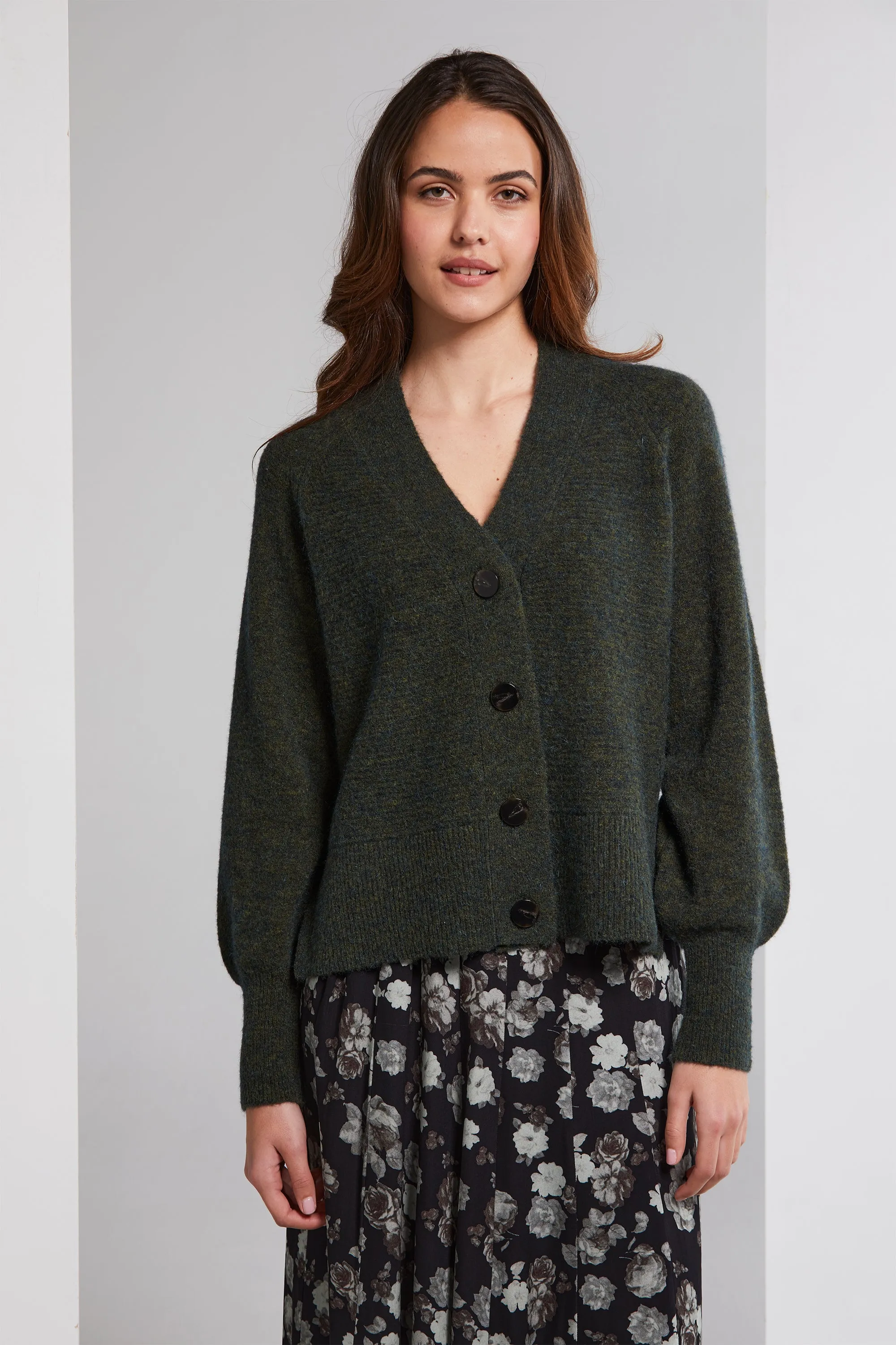 Lavinia Cardi