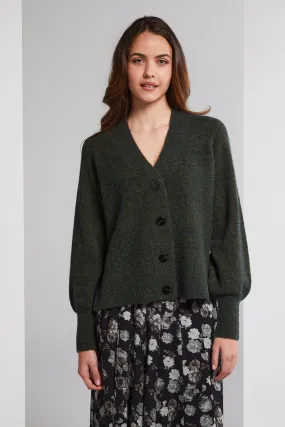 Lavinia Cardi